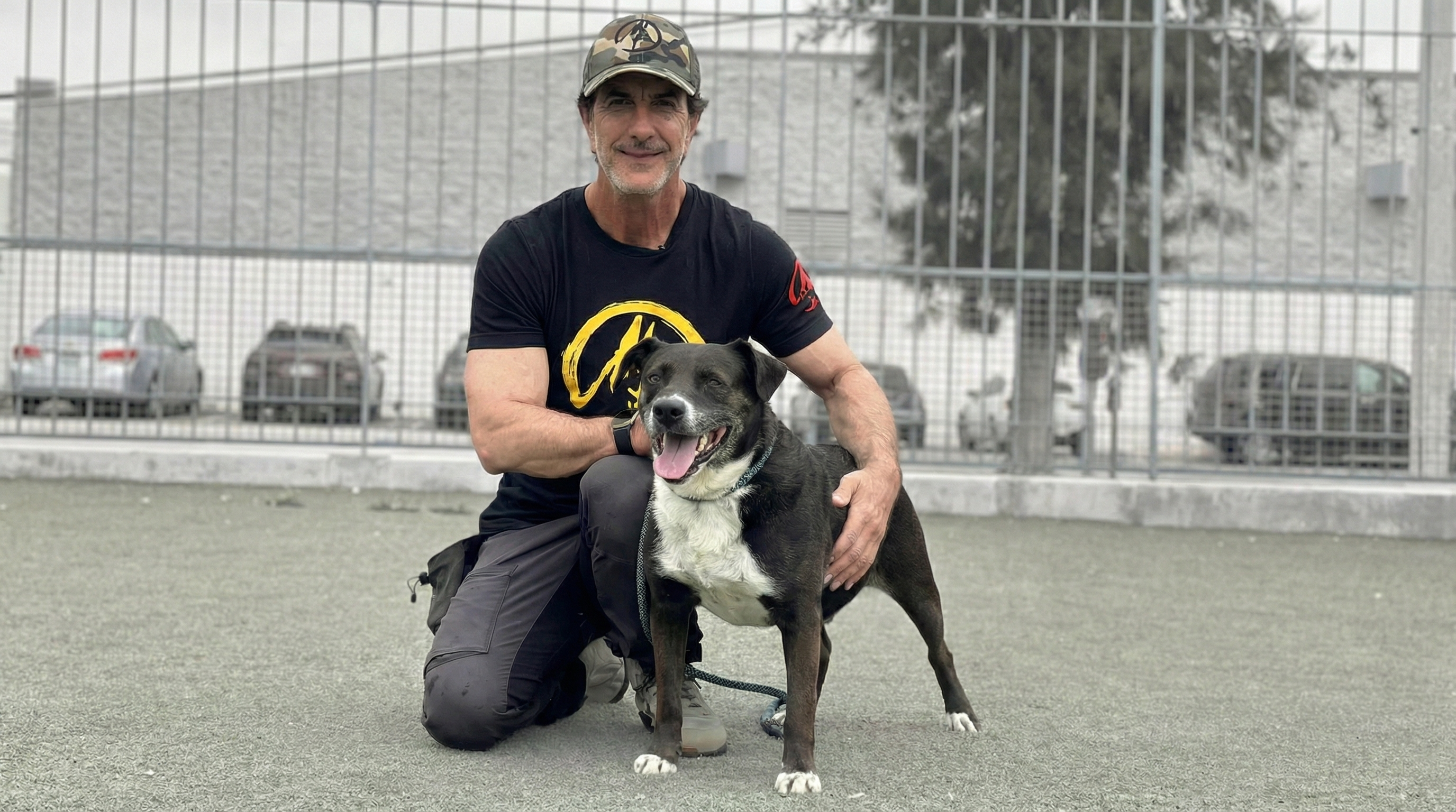 They Put Kodo on the Yellow List