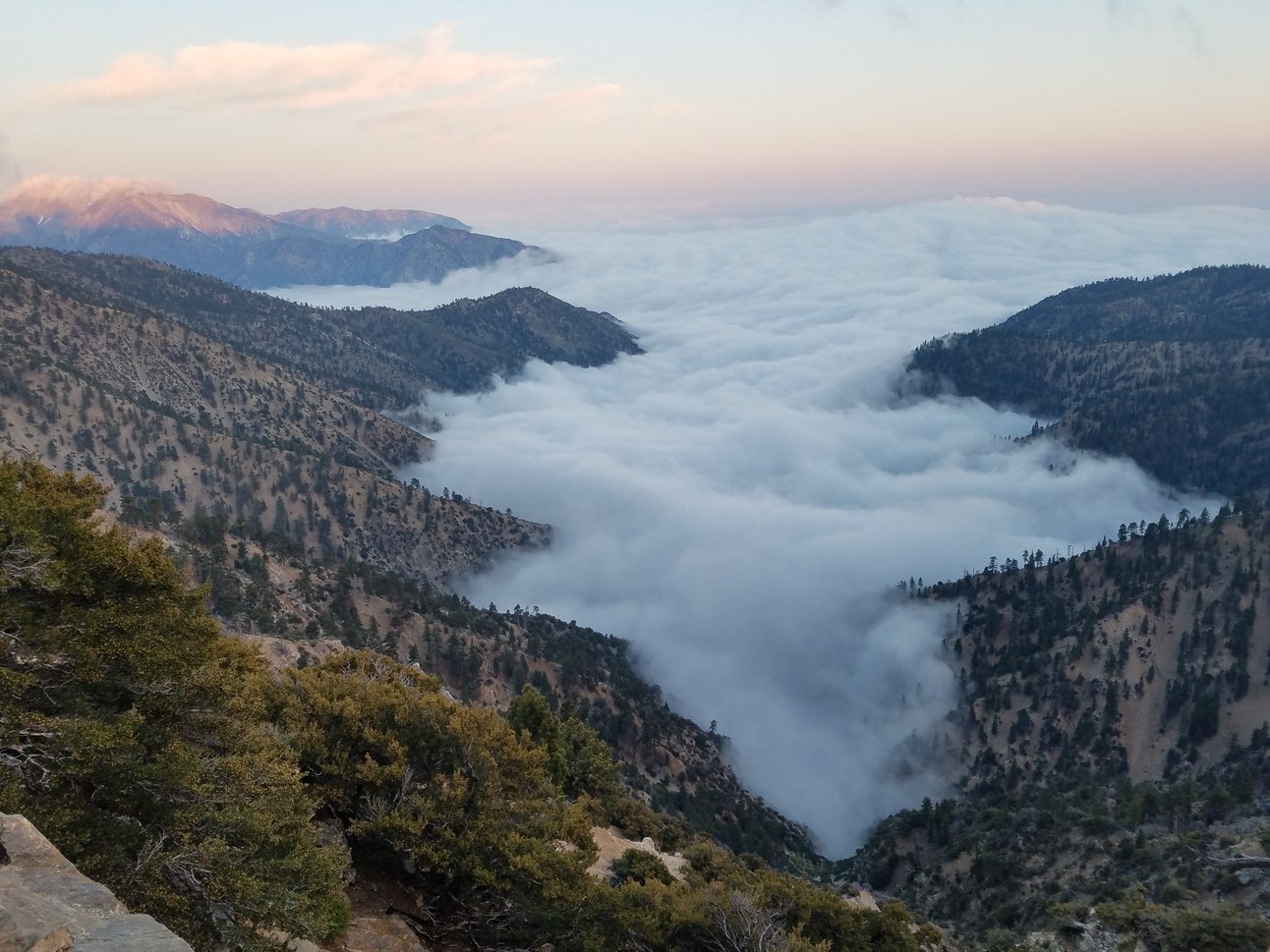 Unlock the Secrets of the NWS: Your Best Backpacking Ally!