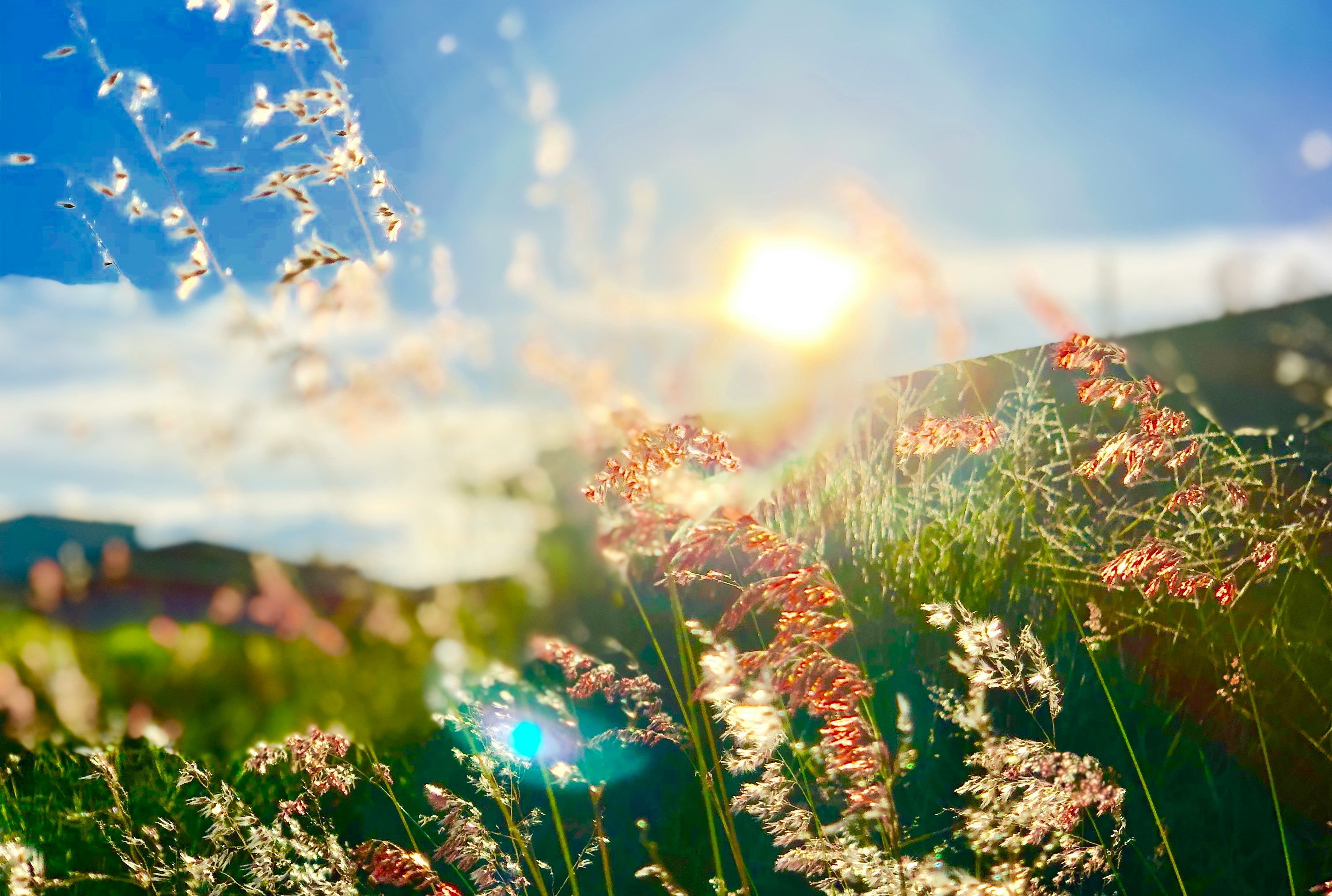 March 20-First day of spring, Einstein’s breakthrough & comedy giant