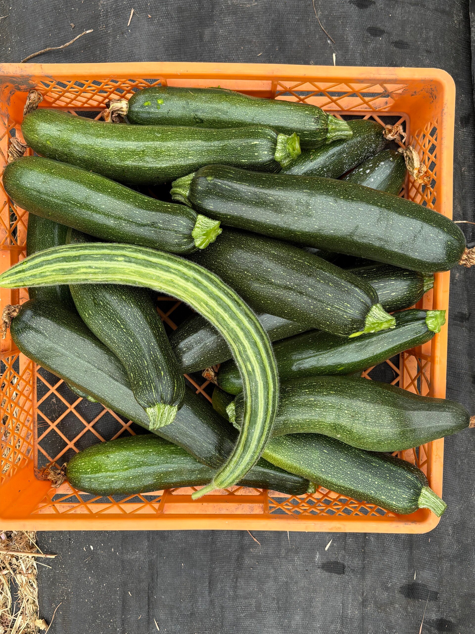 Entre lo que se va y lo que empieza 