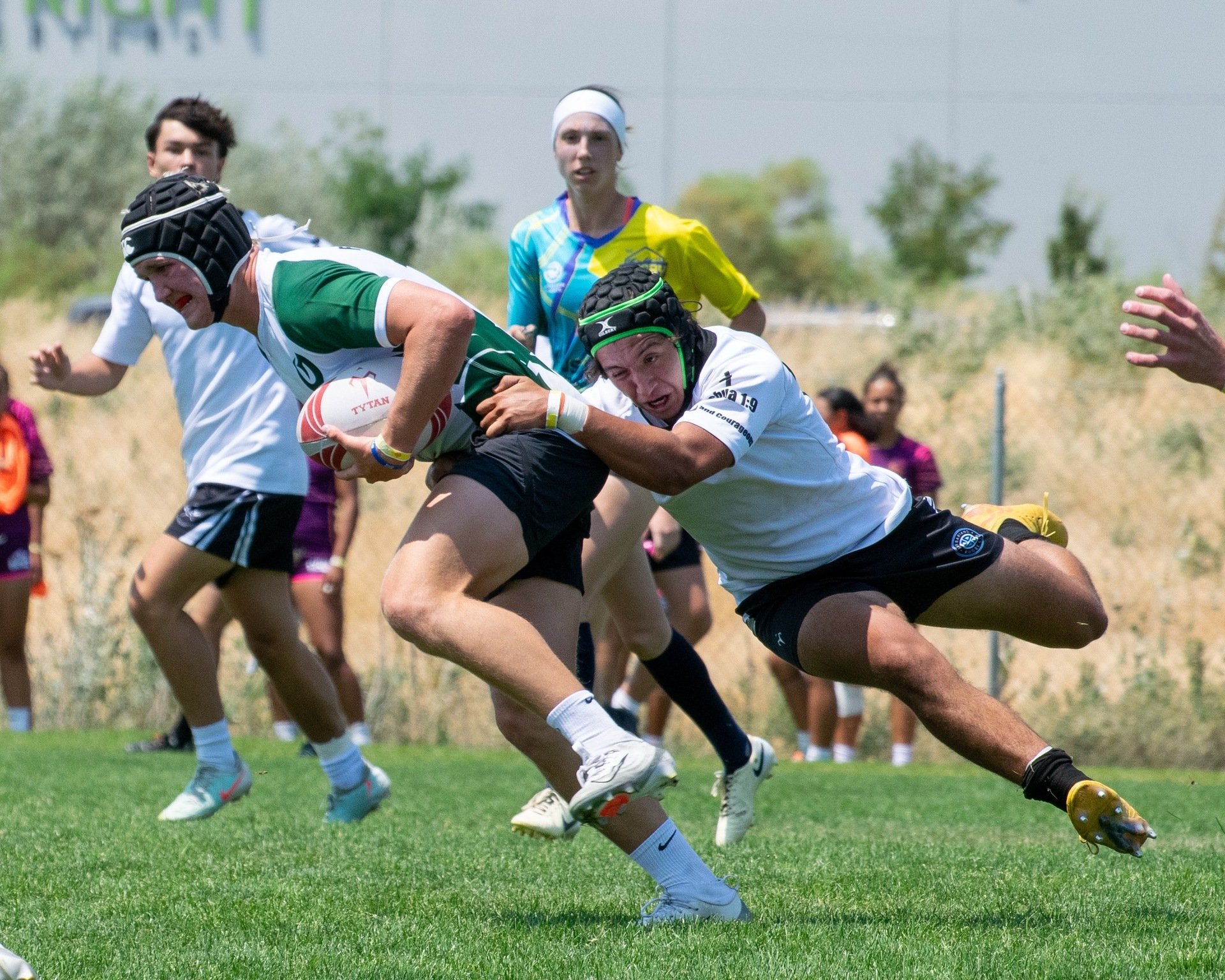 🏉"Are we getting stepped by cows??"