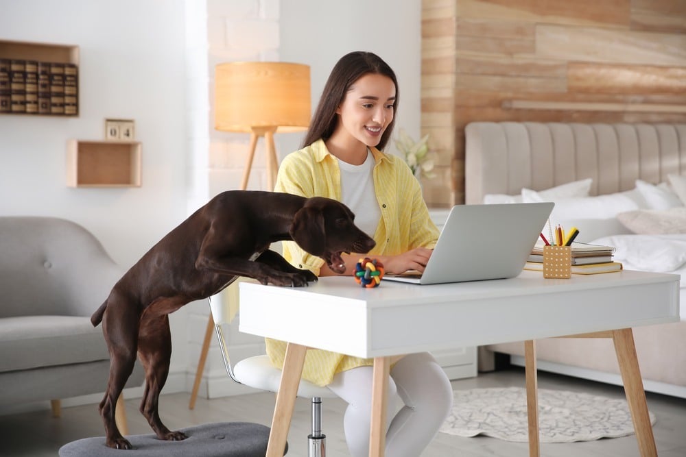 Despite COVID-19, Americans Still Spend Big on Pets