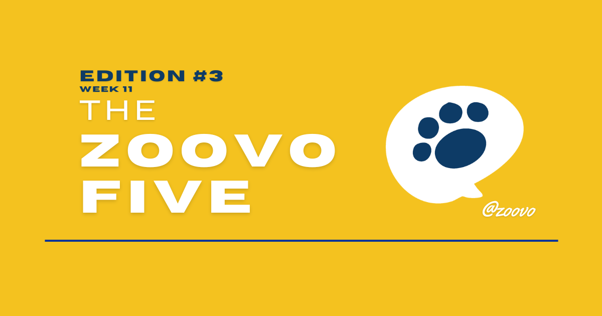 Edition #3: Pool-Playing Cat, Vet Checkups, GPS Tracker Reality, Leash Reactivity & Utrecht’s Cat Café Heaven