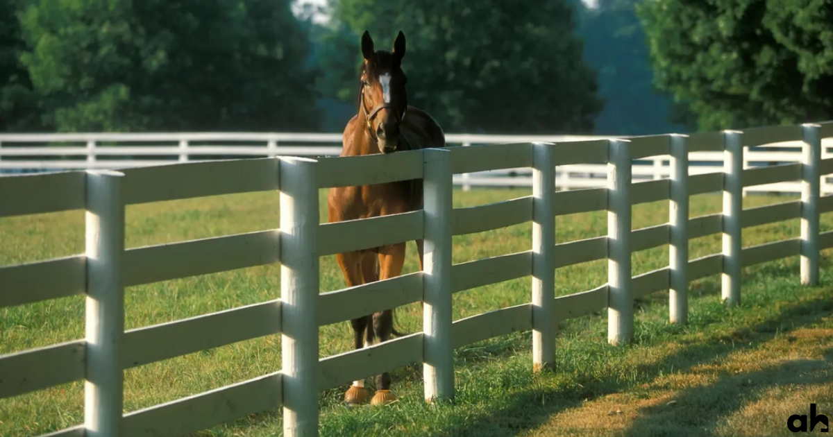 How Many Acres Of Land Does One Horse Need? 1, 5, or More?