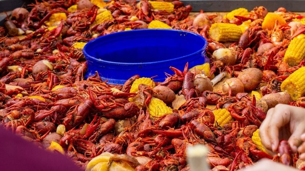 💧 Dallas Drip - April 17th