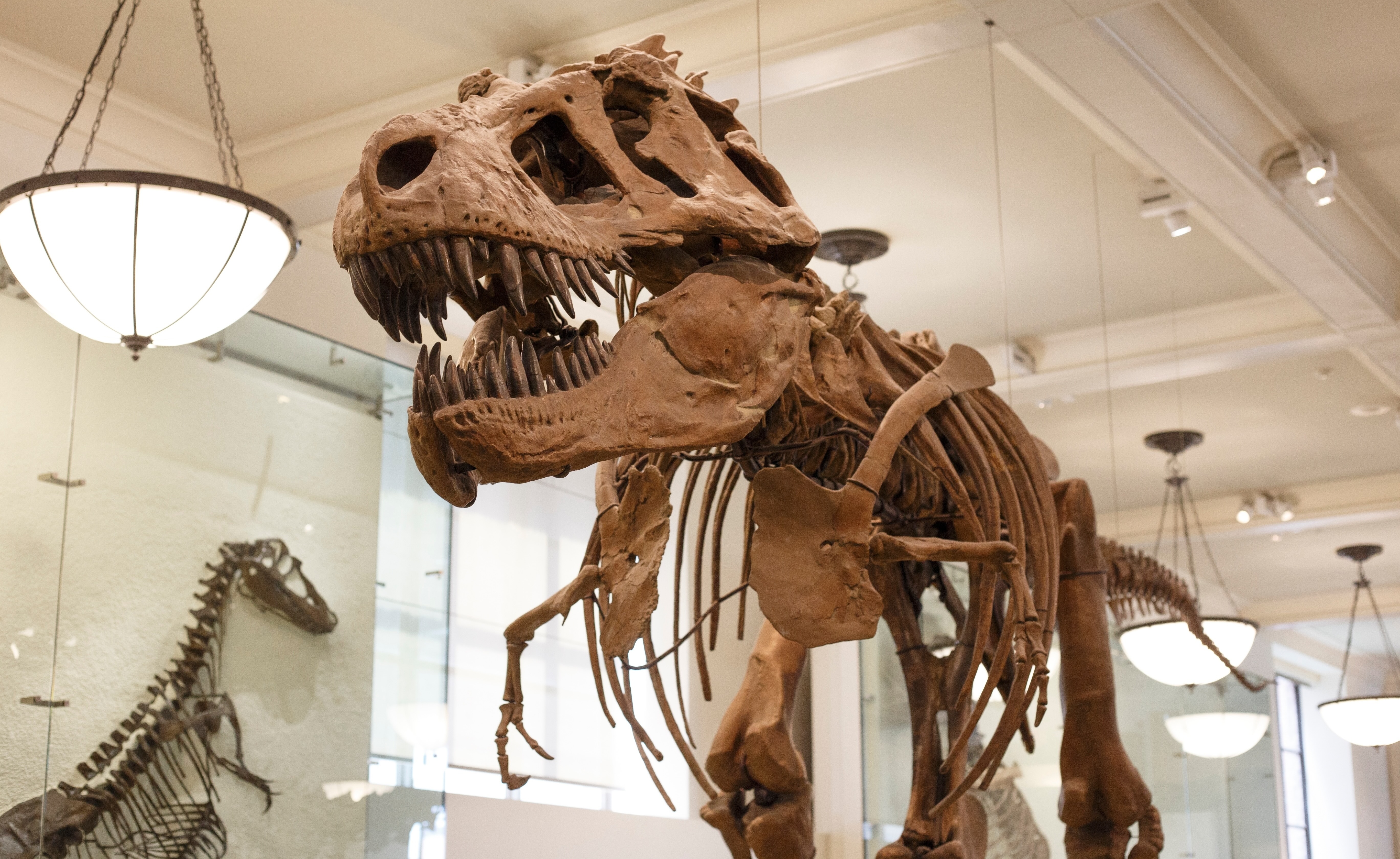 Dinosaur bones are the hot new asset class