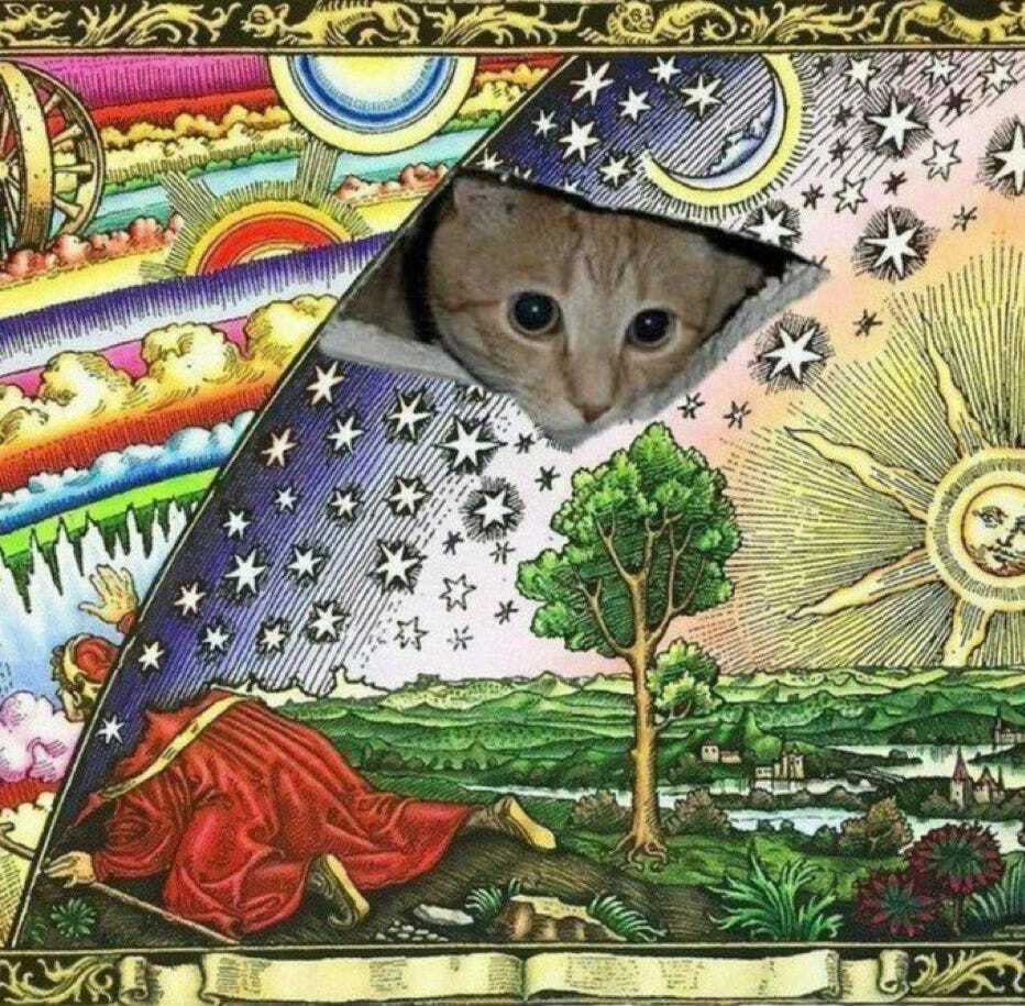 Even Cats Read Tarot Cards