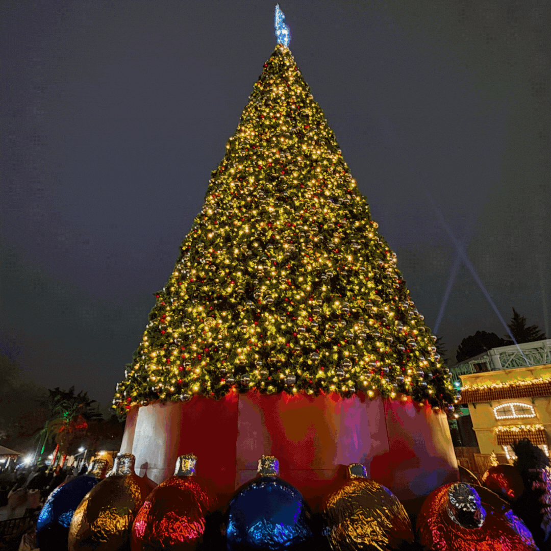 🧭 Your New Favorite Holiday Tradition