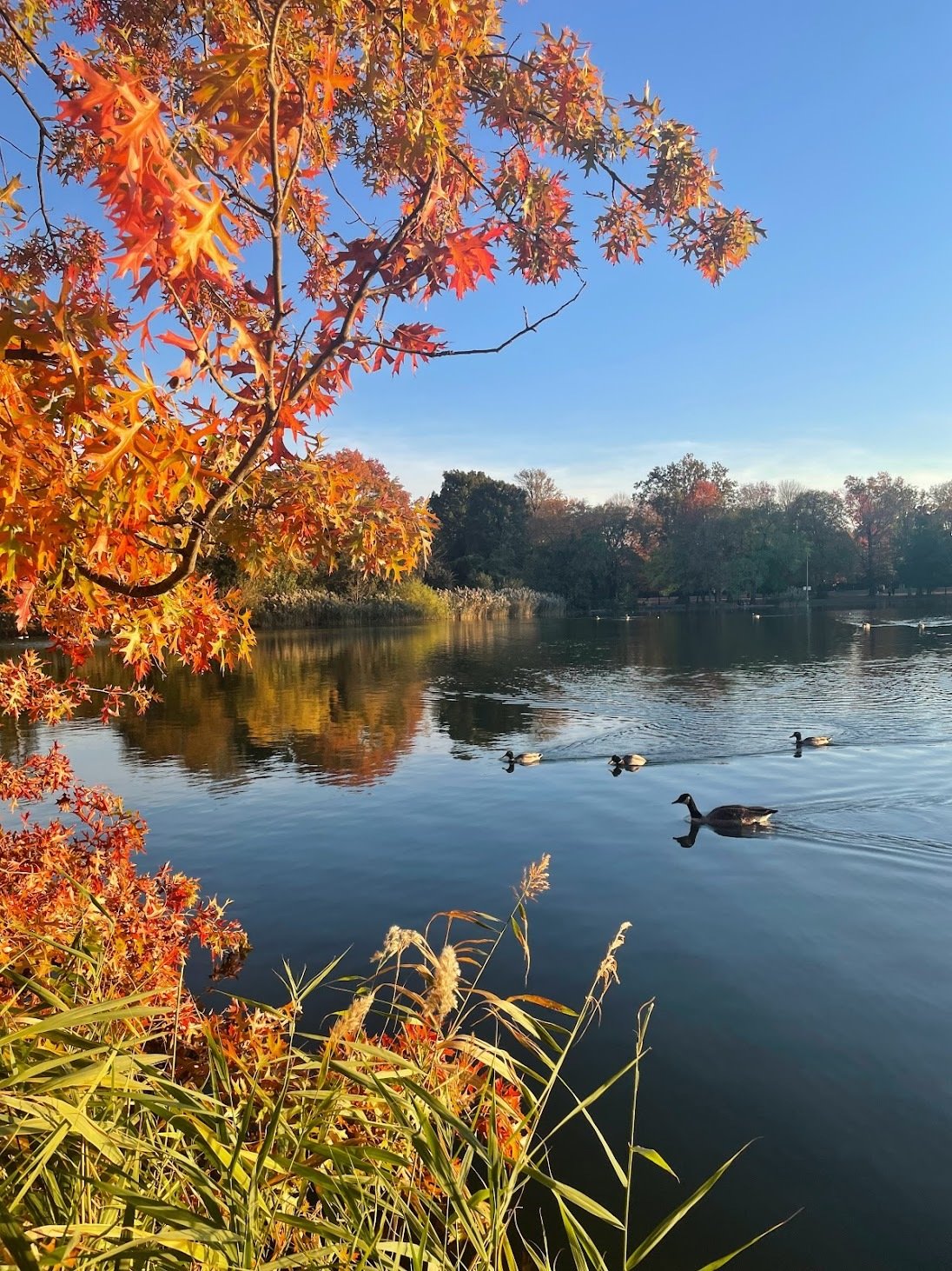 All The Untold Stories – & Why They Matter