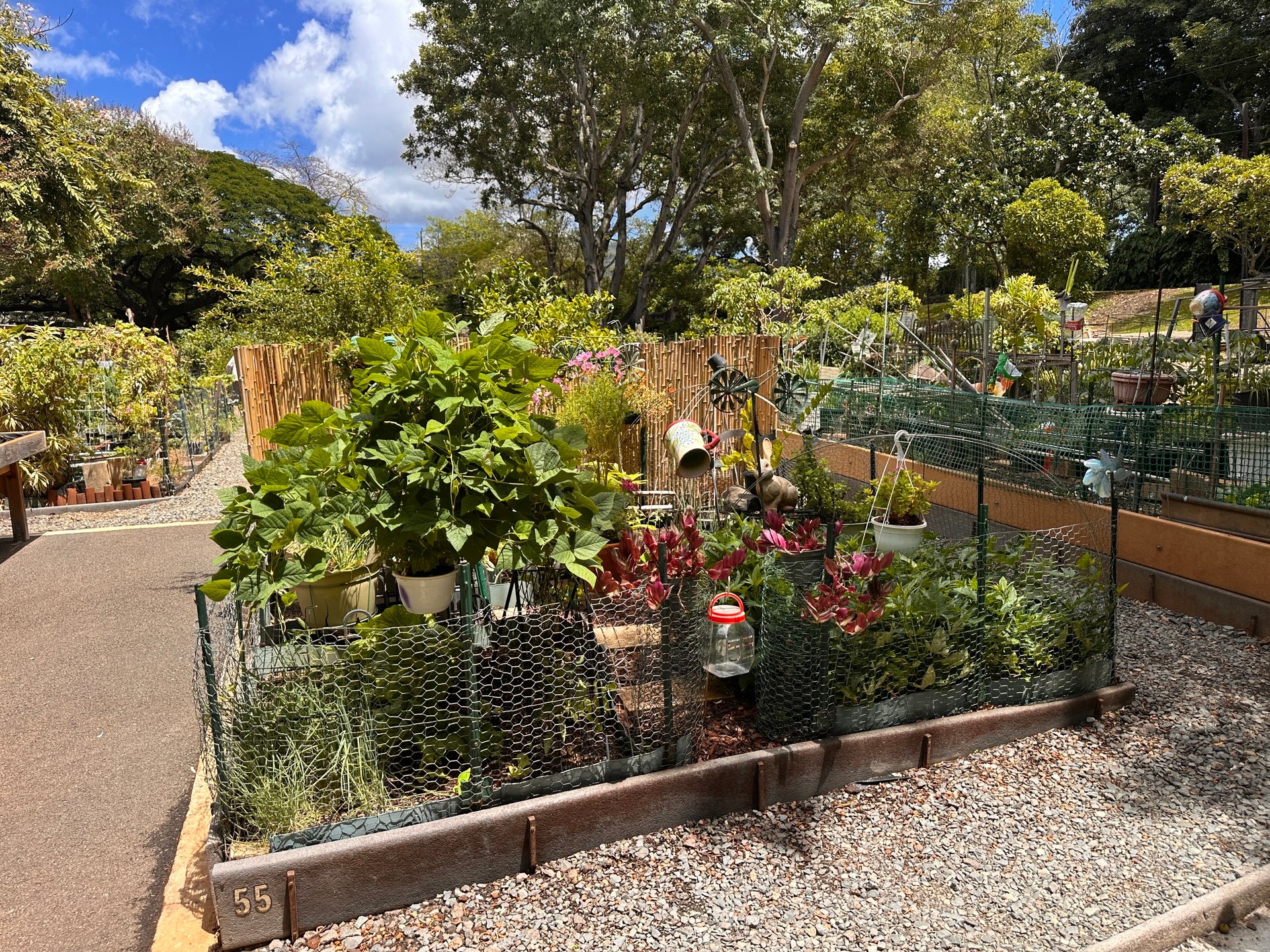 Community Gardens celebrate 50th Anniversary by ushering in new period of growth