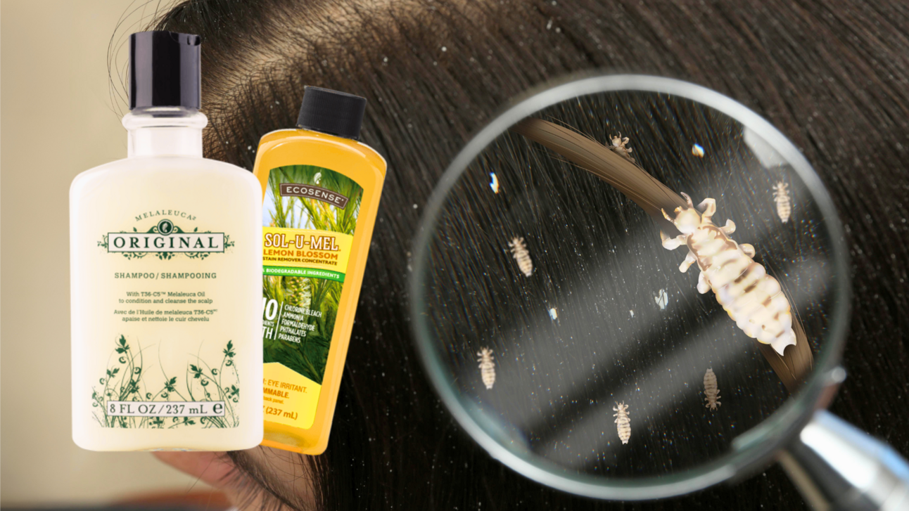 Back to School Lice Advice