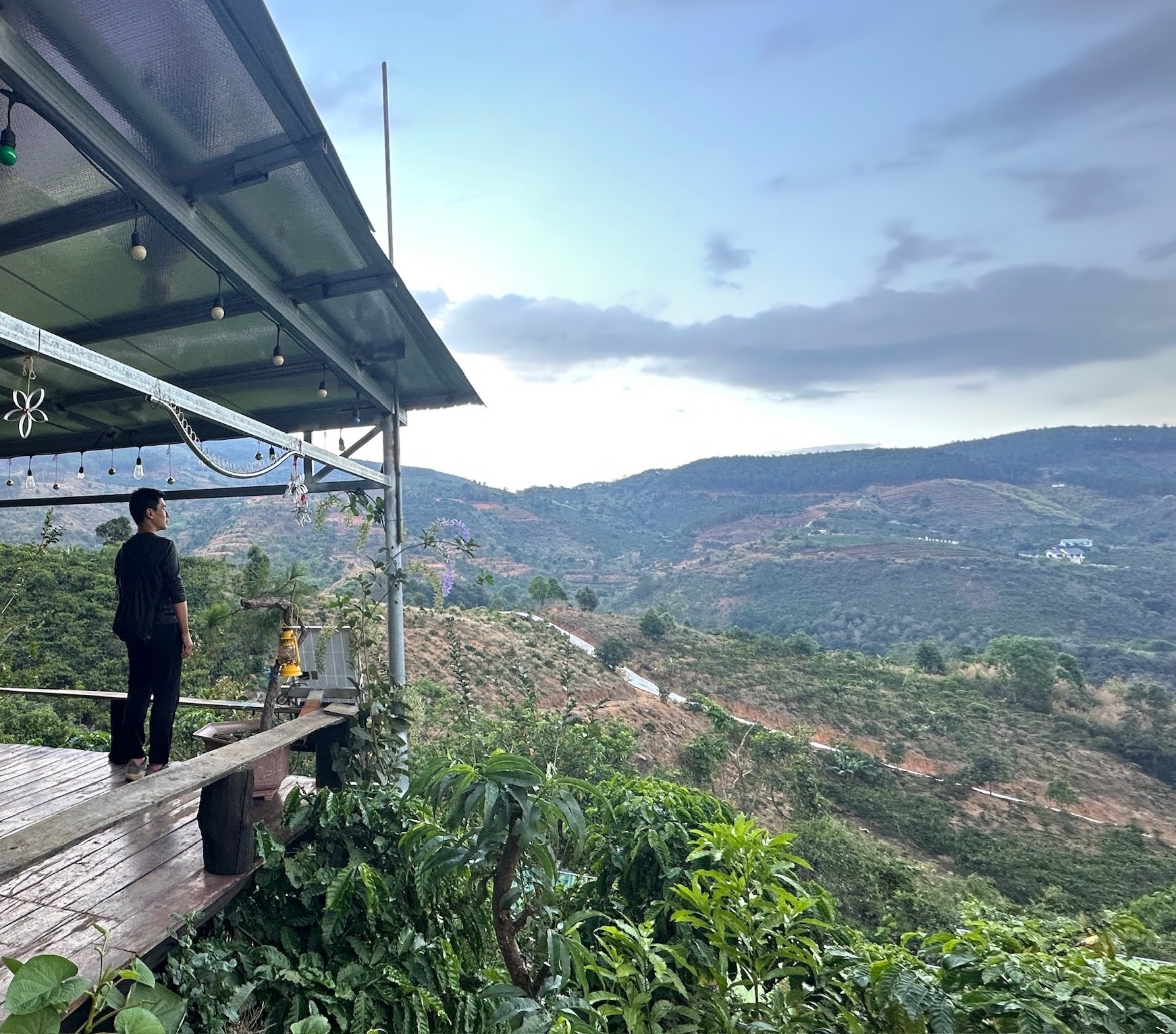 Two New Yorkers learn to survive and make TikToks in the Vietnamese countryside