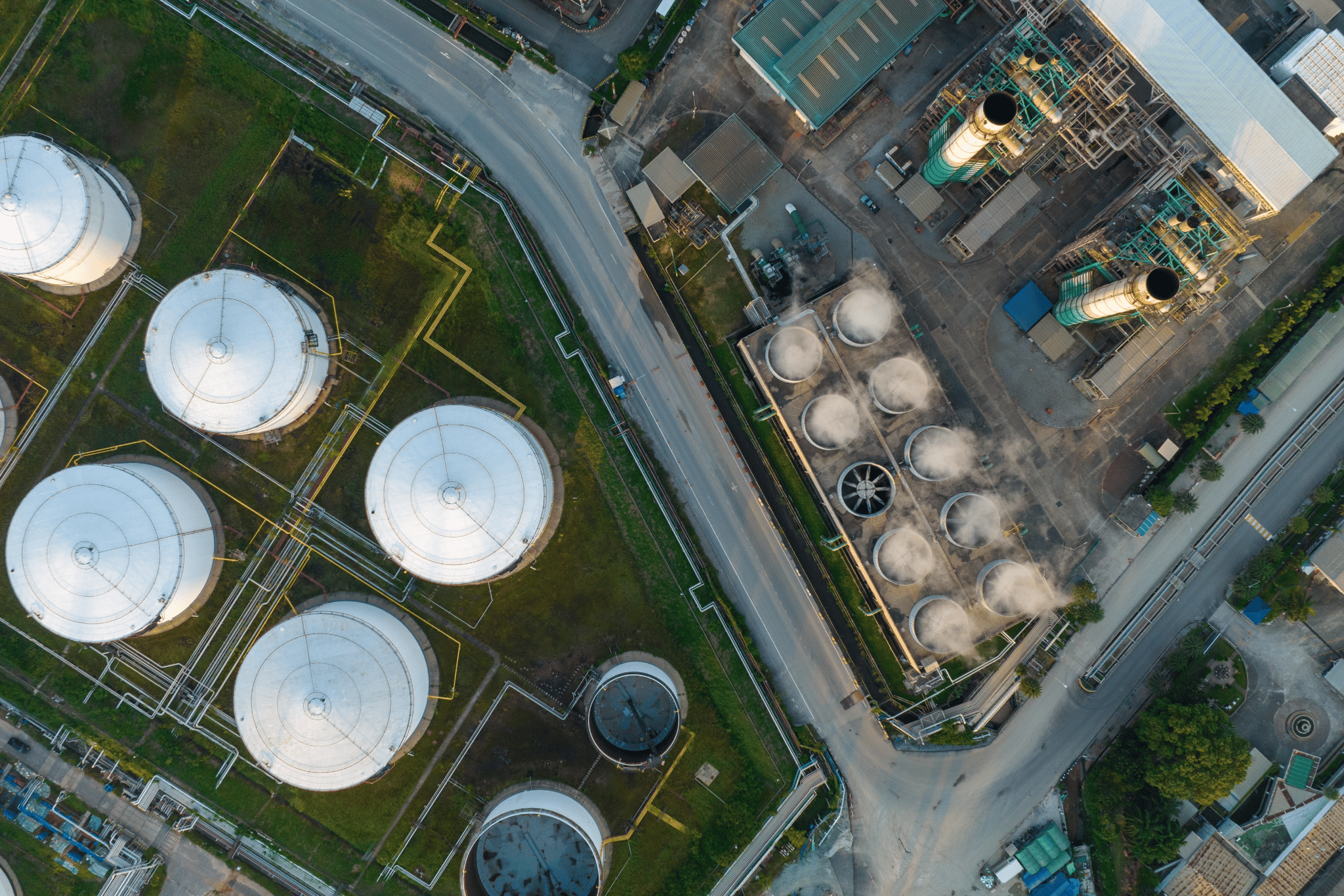 Where the recovery shows up first