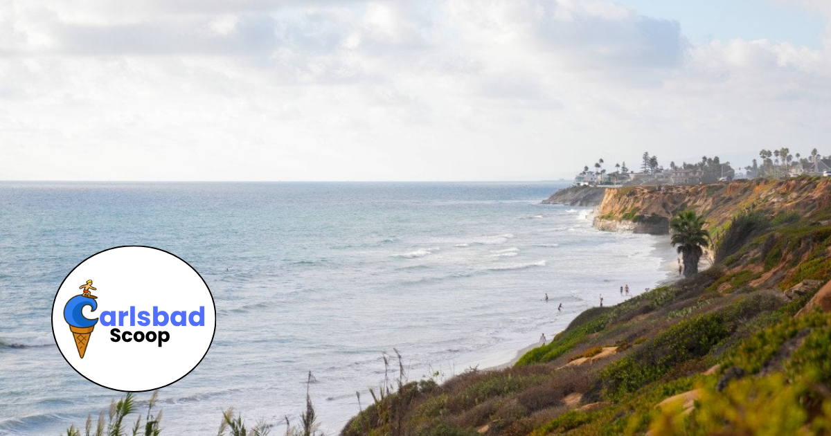 🌊 Fall Fun in North County This Weekend