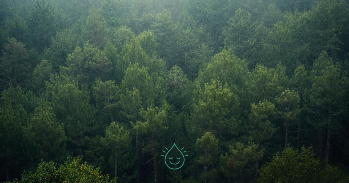 Tu propósito no se perdió. 