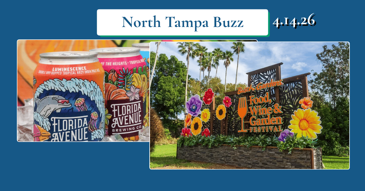 🎶 BBQ, Markets, and a Big Comeback