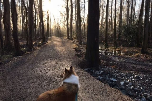 Future-proof your job in the age of AI