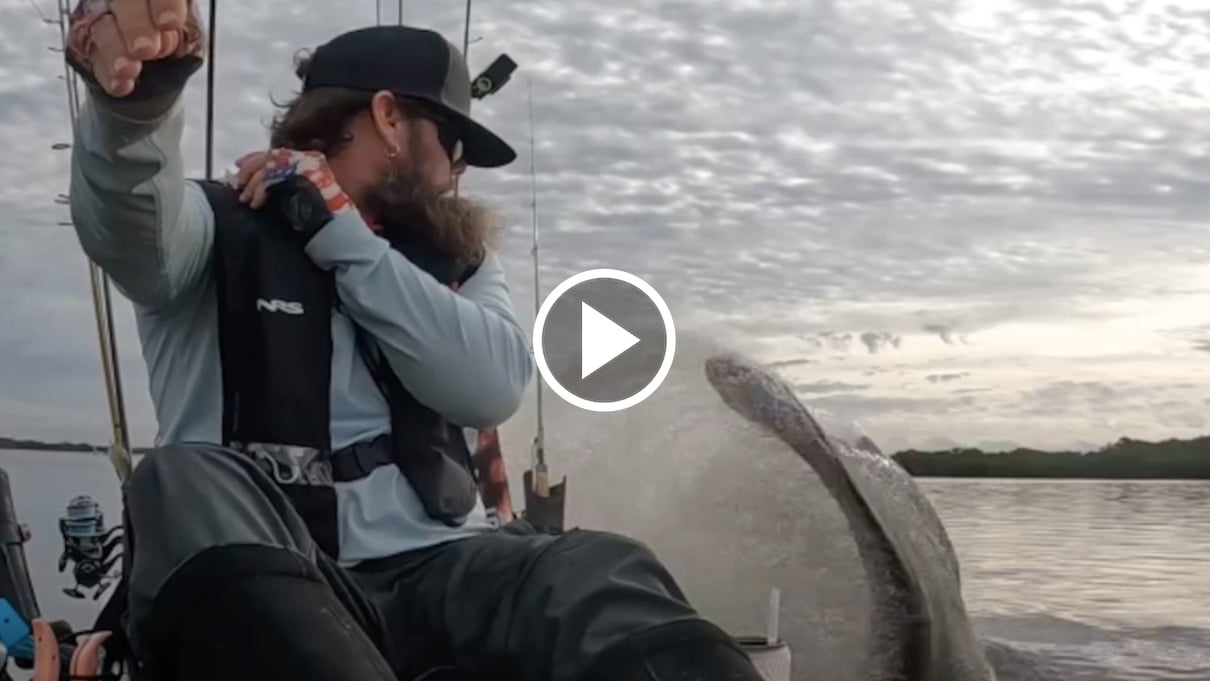 April 1, 2026 • 🧜‍♀️ An unexpected Encounter On Video • 📗 Announcement Disrupts Fishing Industry • 🎣 The Record Catch Raising Eyebrows