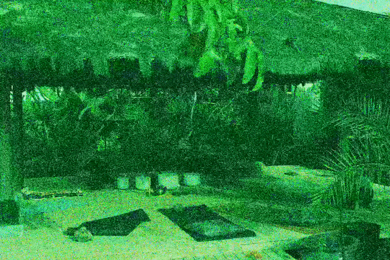 "I Swore Off Psychedelic Retreats. Now, I'm Hosting One."