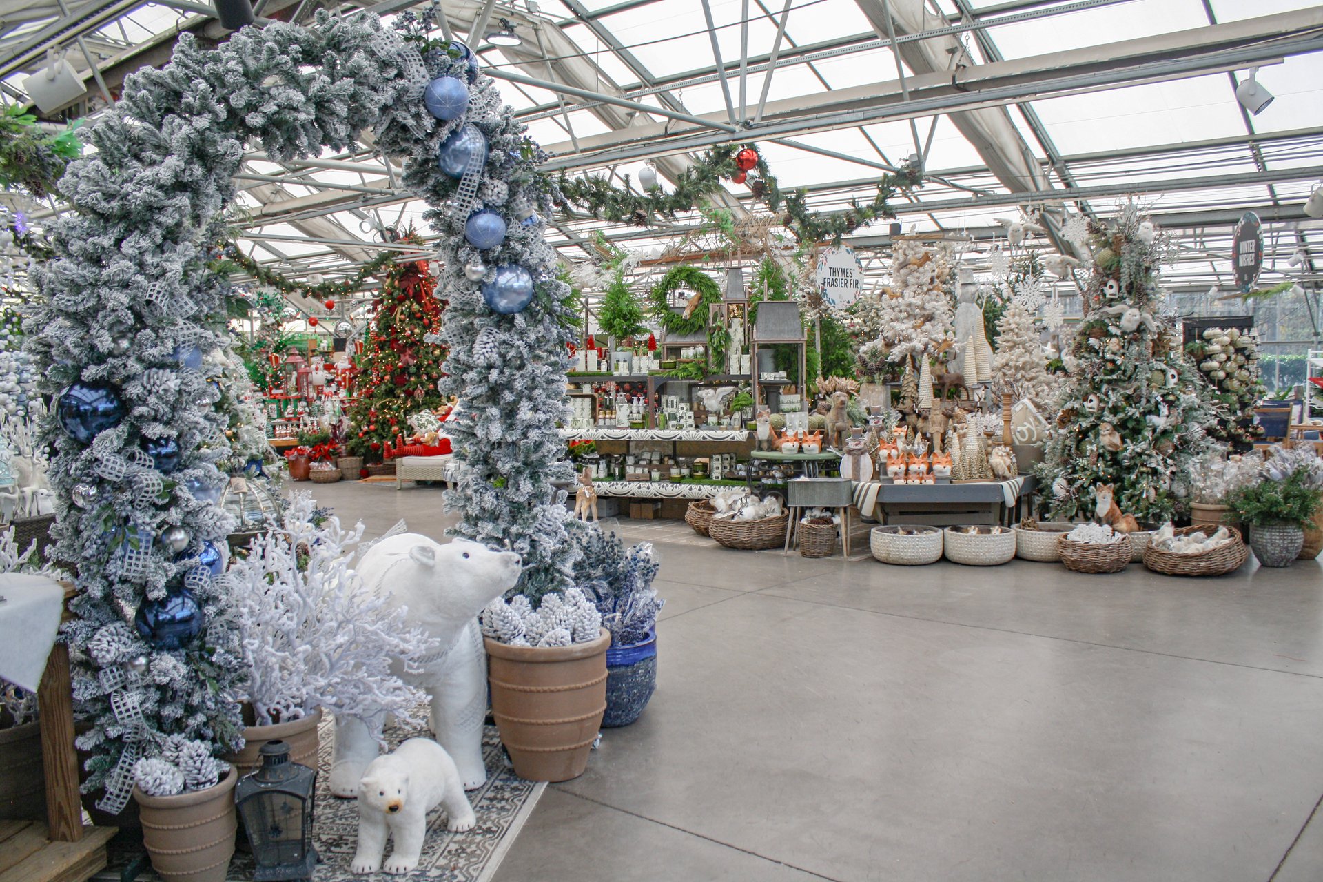 🍦Army stole the wrong goat