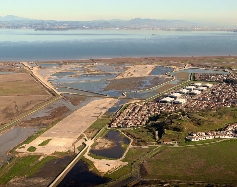 Just beneath this Marin marshland is a fascinating history