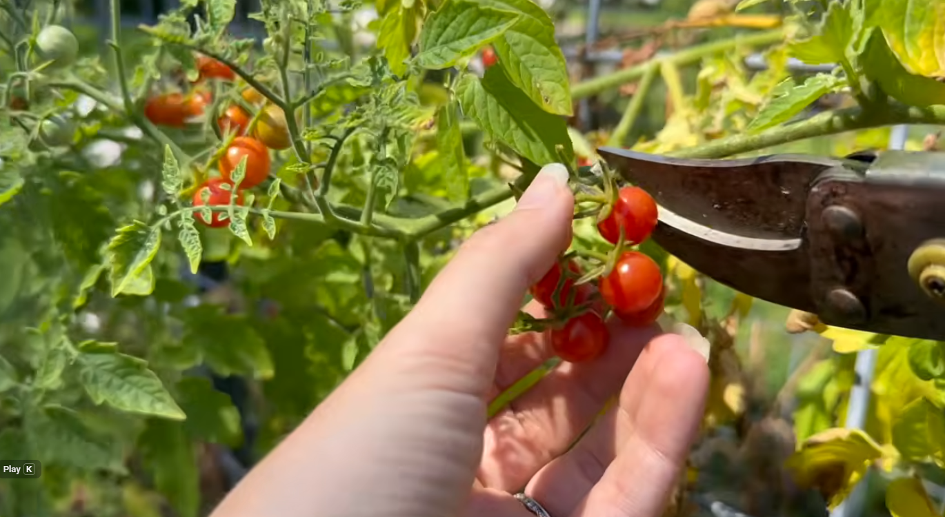 🟠 The April Garden Secret & 20+ Fun Events This Week