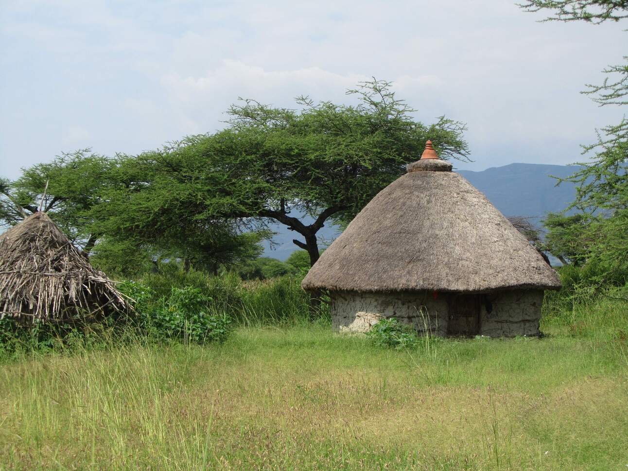 🏠 House Hunting in Addis