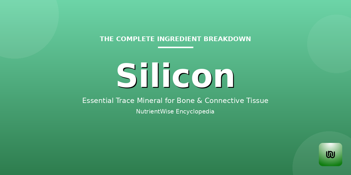 The Complete Ingredient Breakdown: Silicon