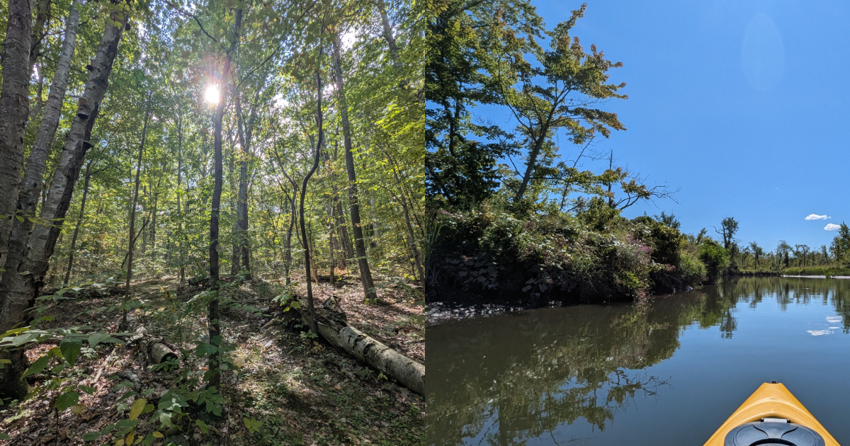 Exploring the Audubon Sanctuaries of the Hudson Valley
