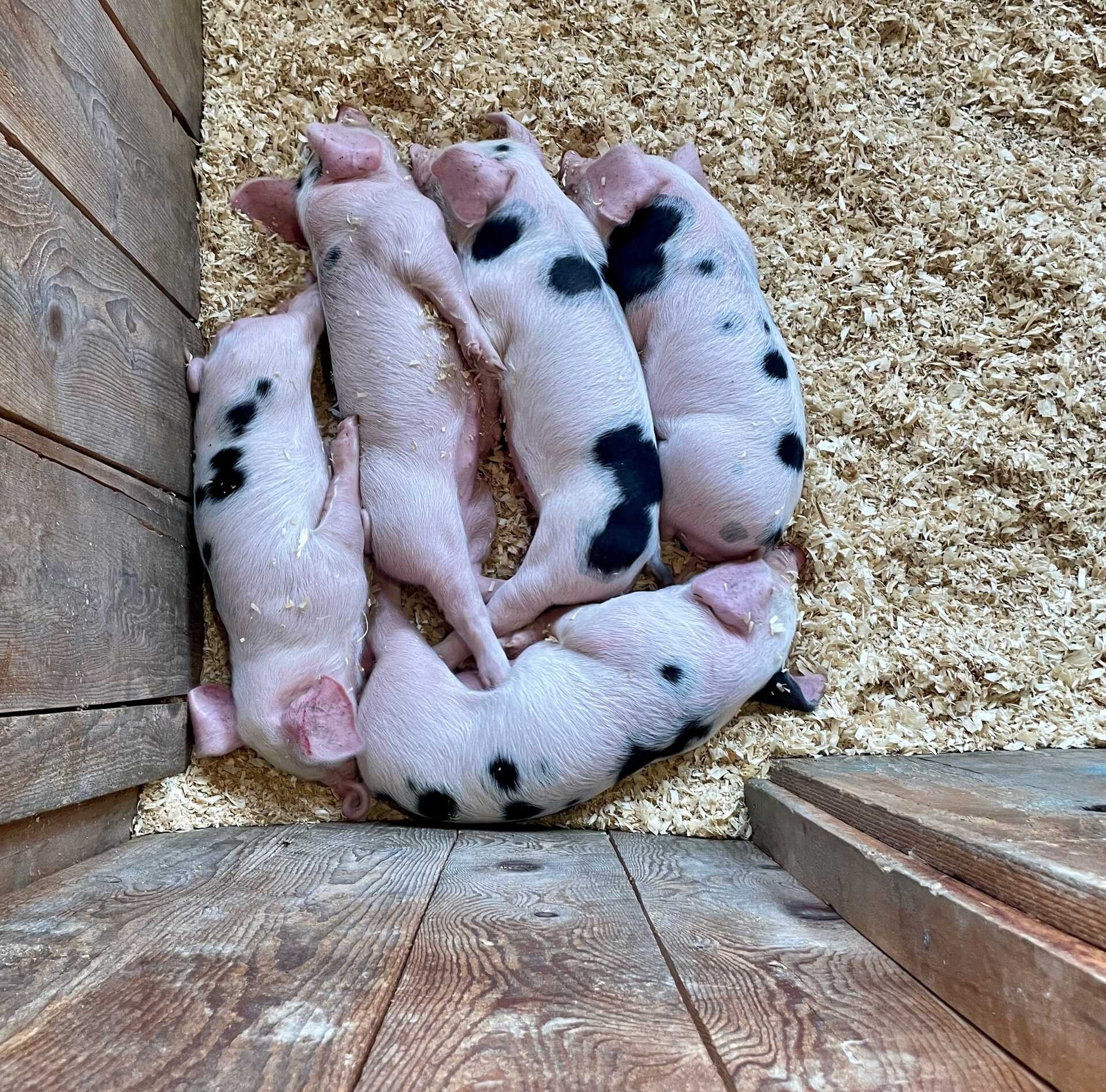 Click. Read. Love. 9.14.25