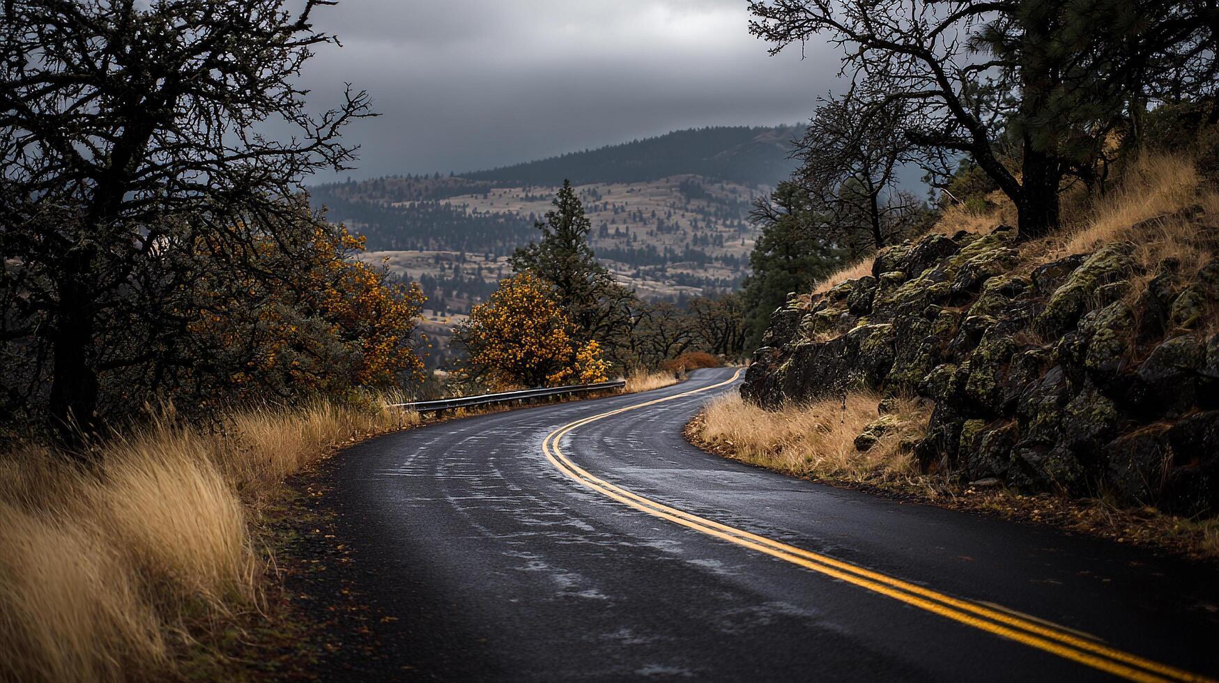 Chose The Wrong Path