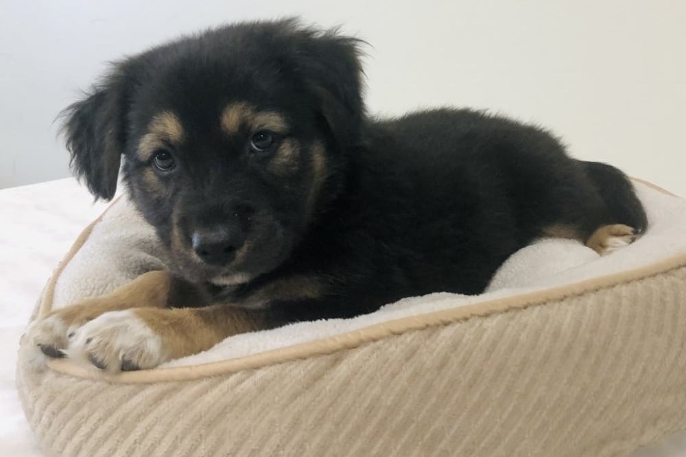 HTX-BAY: Impact 3/31/2026