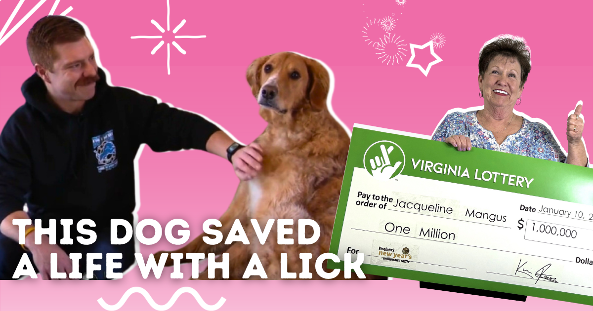 😊 Good News: This dog saved a life