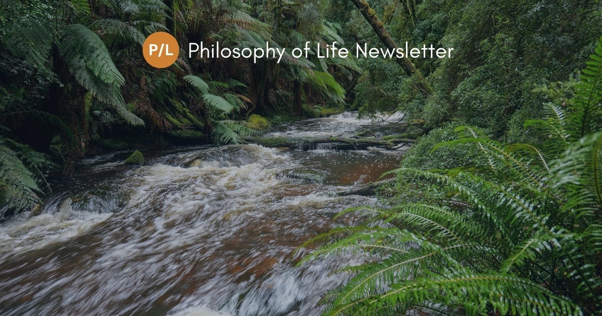 📜 Nietzsche vs. Schopenhauer on Will | Philosophical Ideas