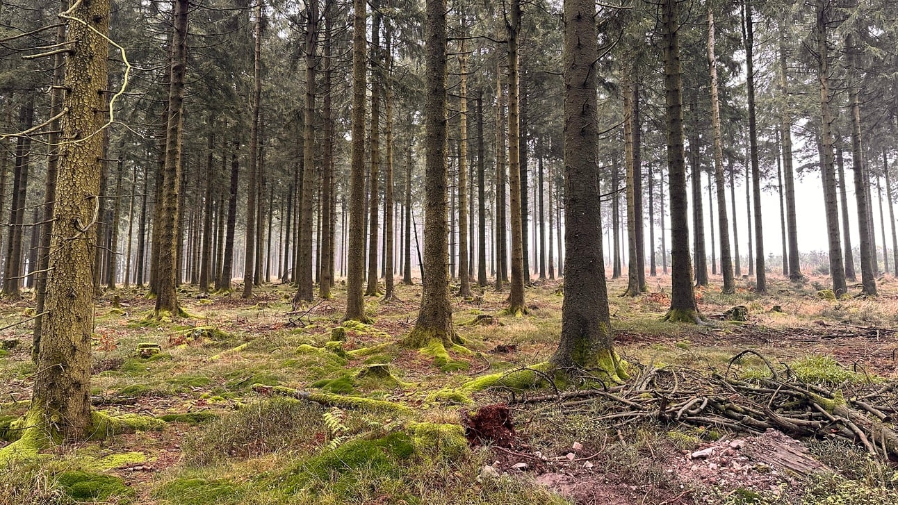 Warum ihr immer die Quellen prüfen müsst: