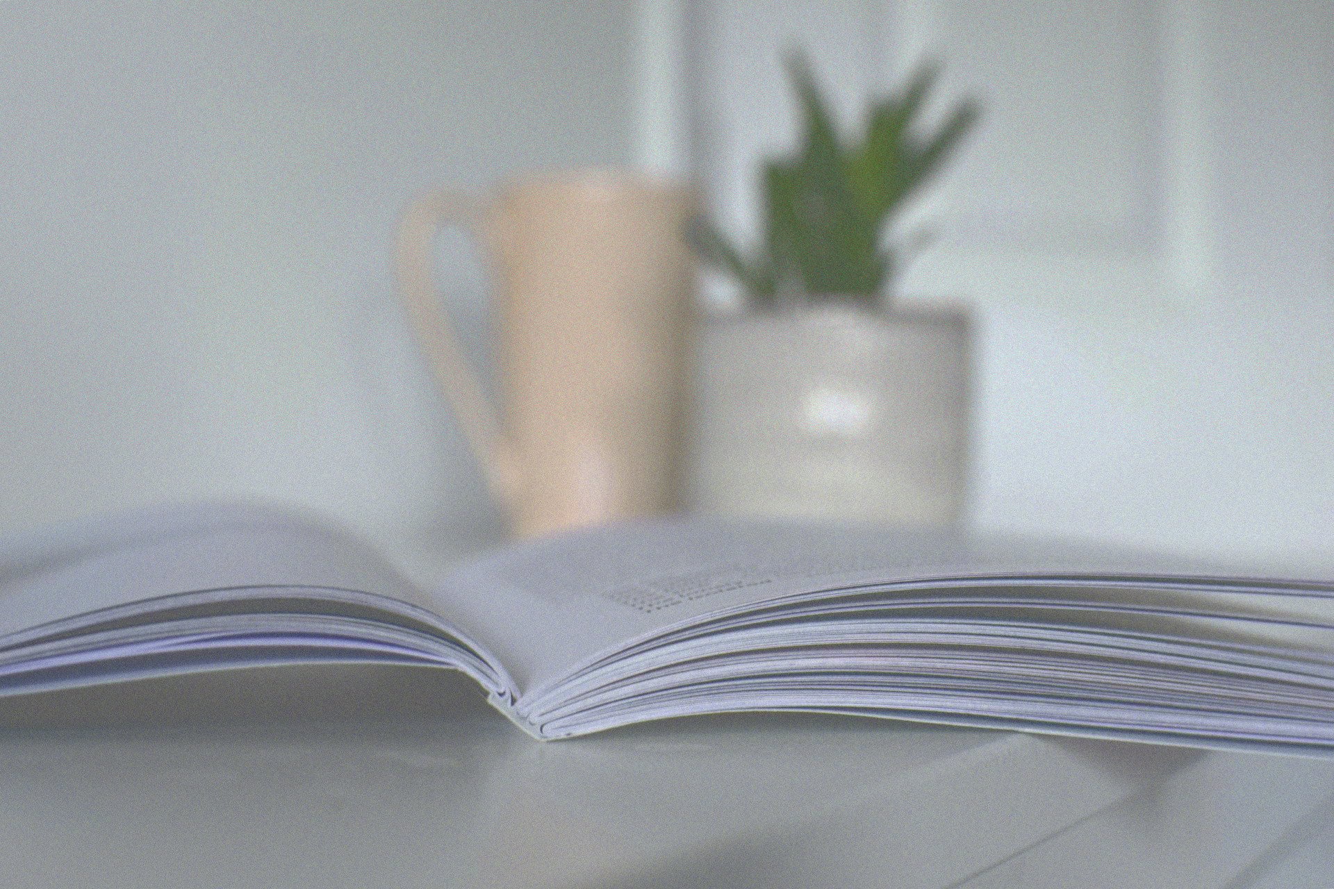 The Language Barrier Nobody Talks About: What Mastering English Actually Unlocks