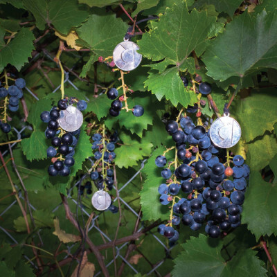 Daily Newsletter, January 17, 2026