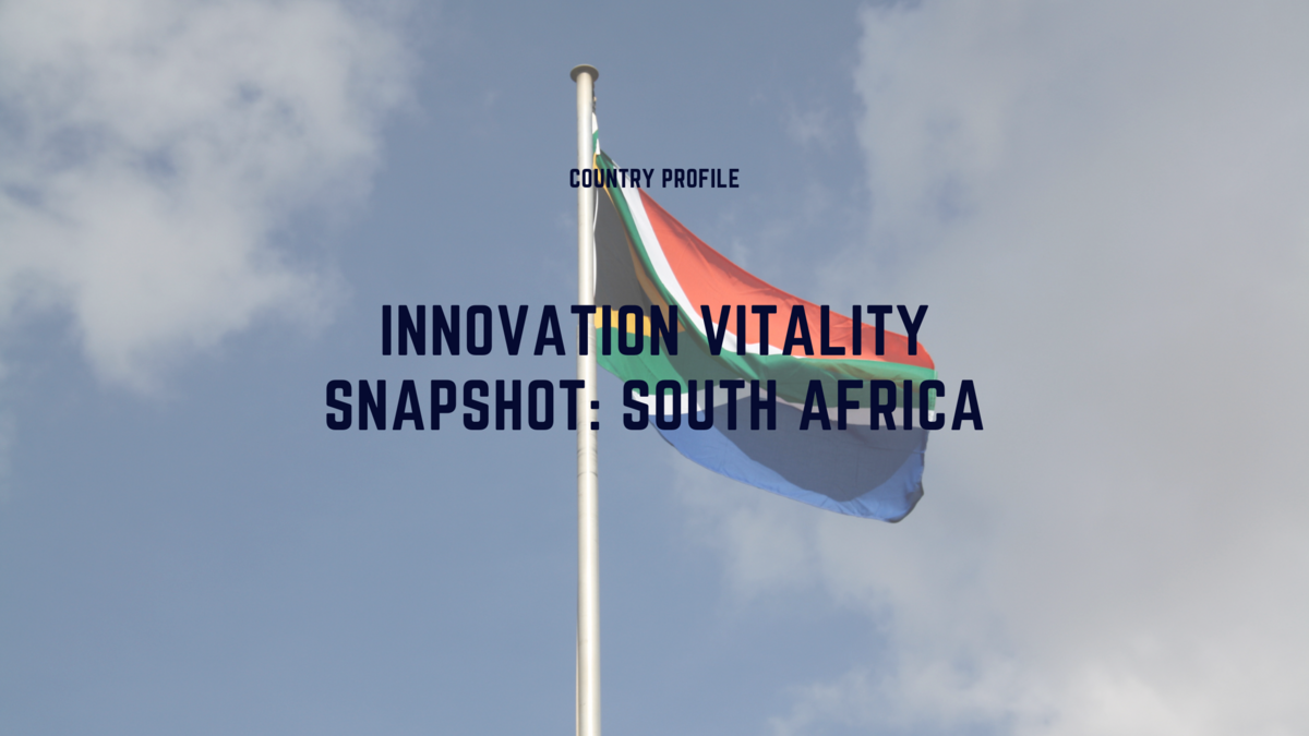 An Overview of South Africa's Innovation Vitality