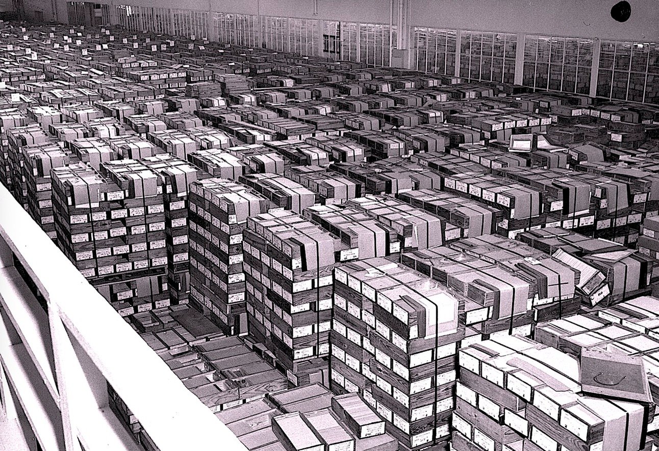 Damn History #92 / July 2025