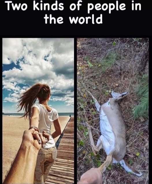 7mm Redemption + Wolf Quotas Jump 🎯🐺