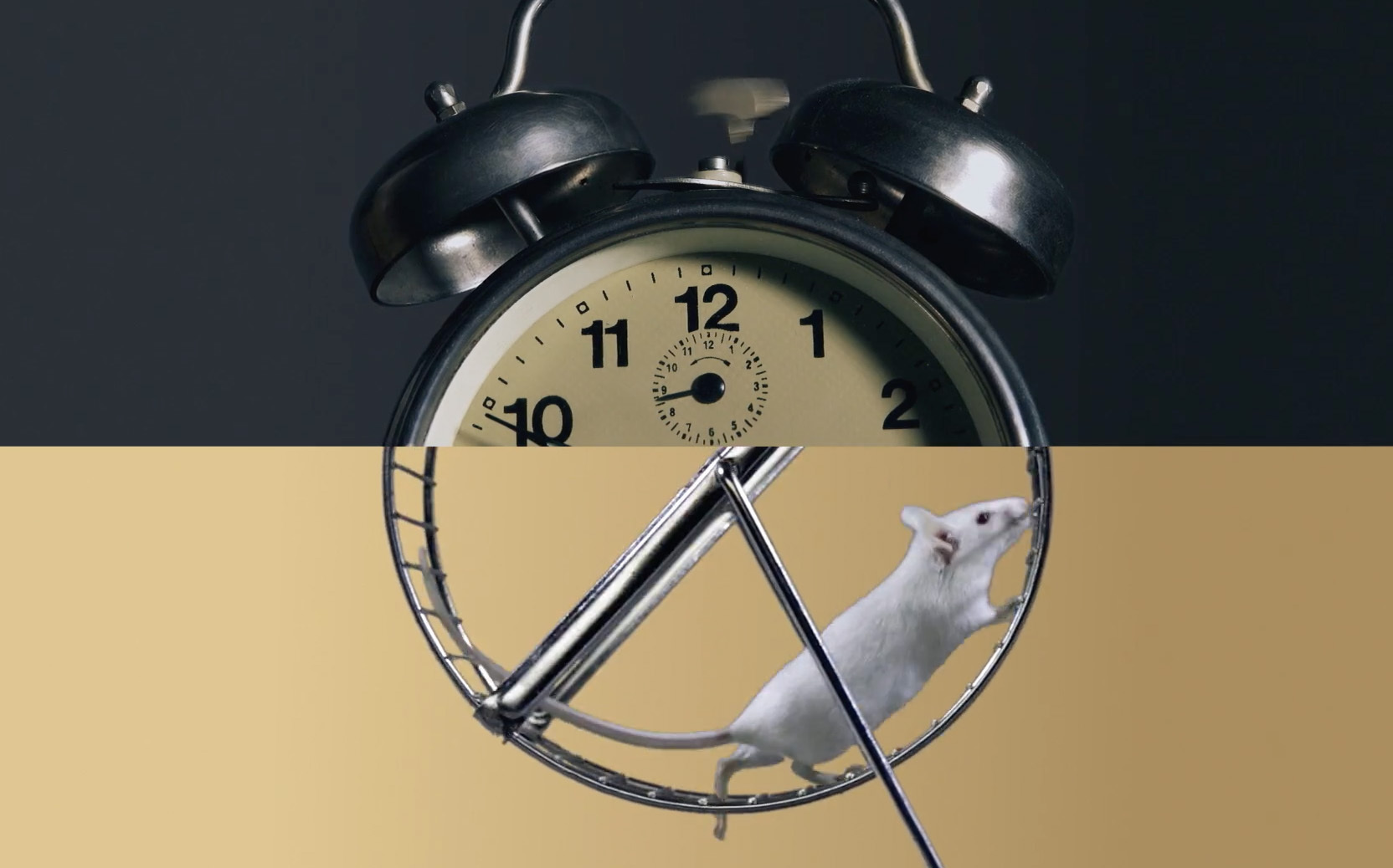 Visual Mashup Music Video