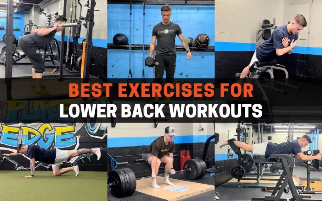 What's the best lower back workout routine?