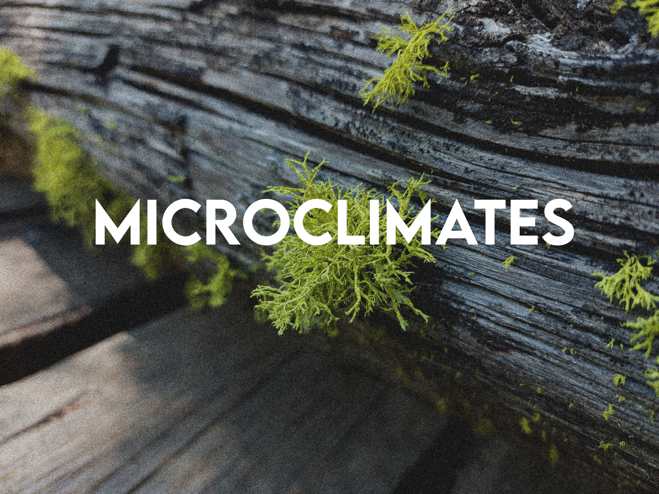 Microclimates