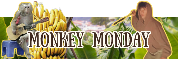 Monkey Monday #11