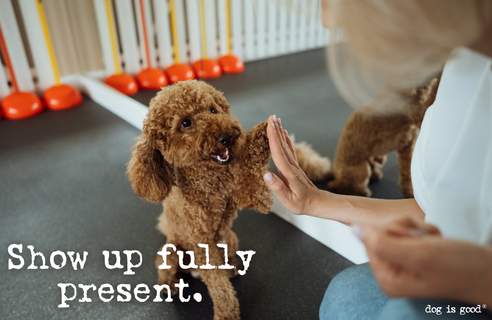 Show up fully present. 