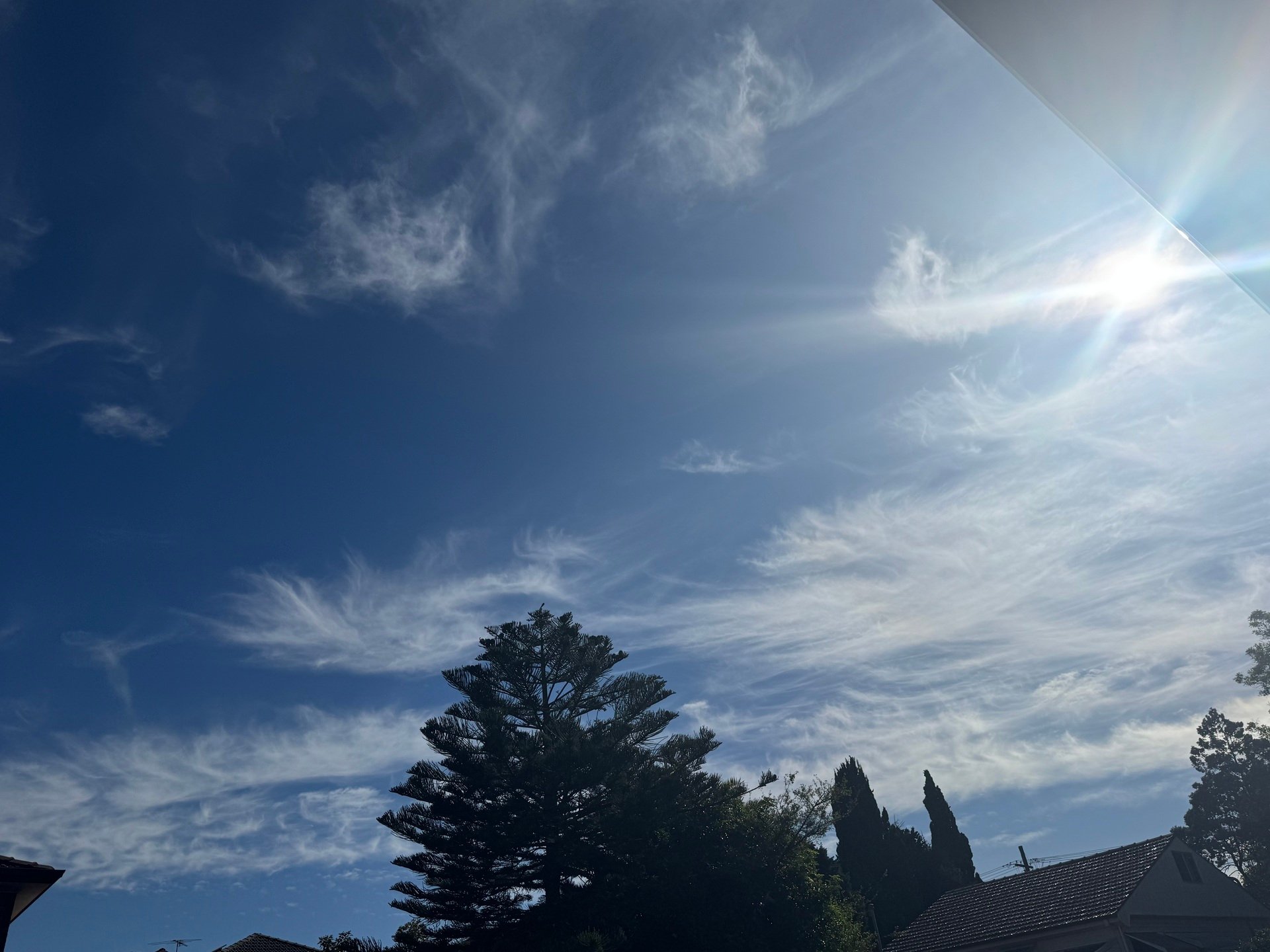 When Resentment Becomes the Doorway to Sovereignty