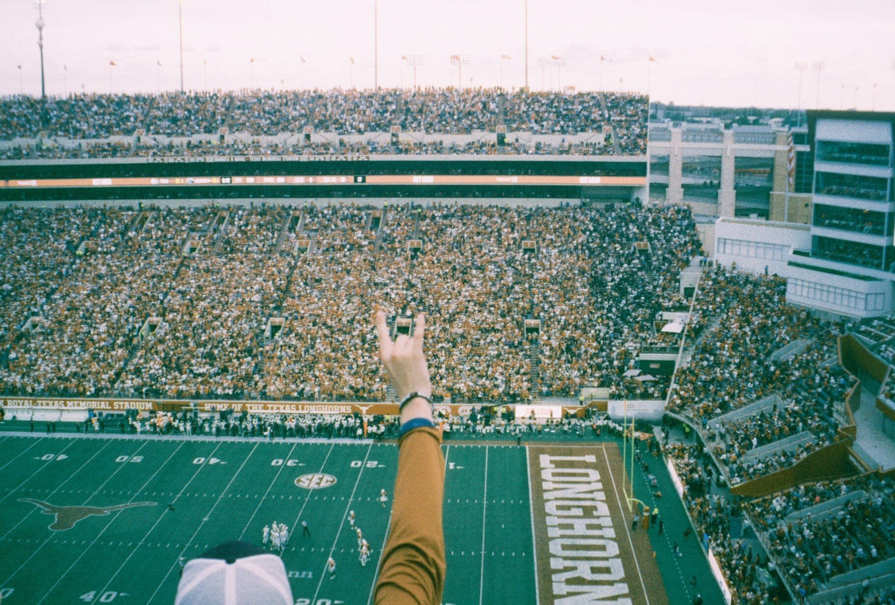 Towards a Unified Theory of Elise // Gratitude