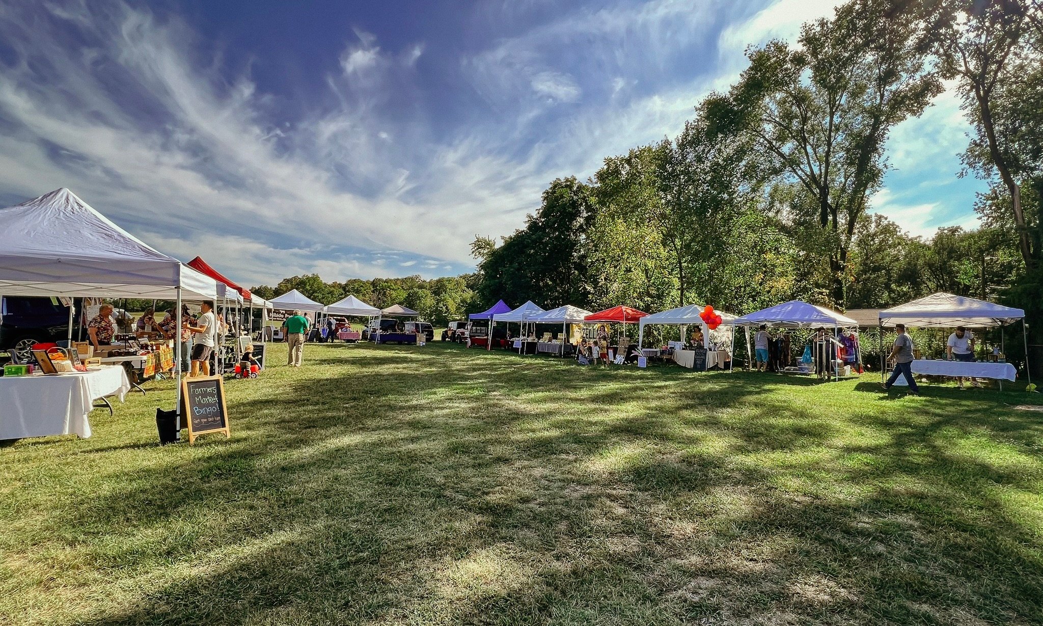 The Marvelous Land of Hogz!