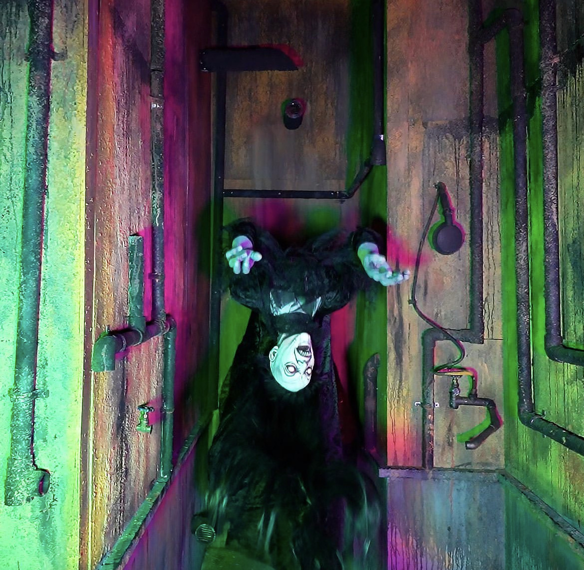 The Bay’s Least Scary Haunted House