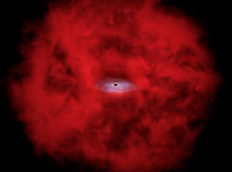 Webb's Little Red Dots Finally Explained